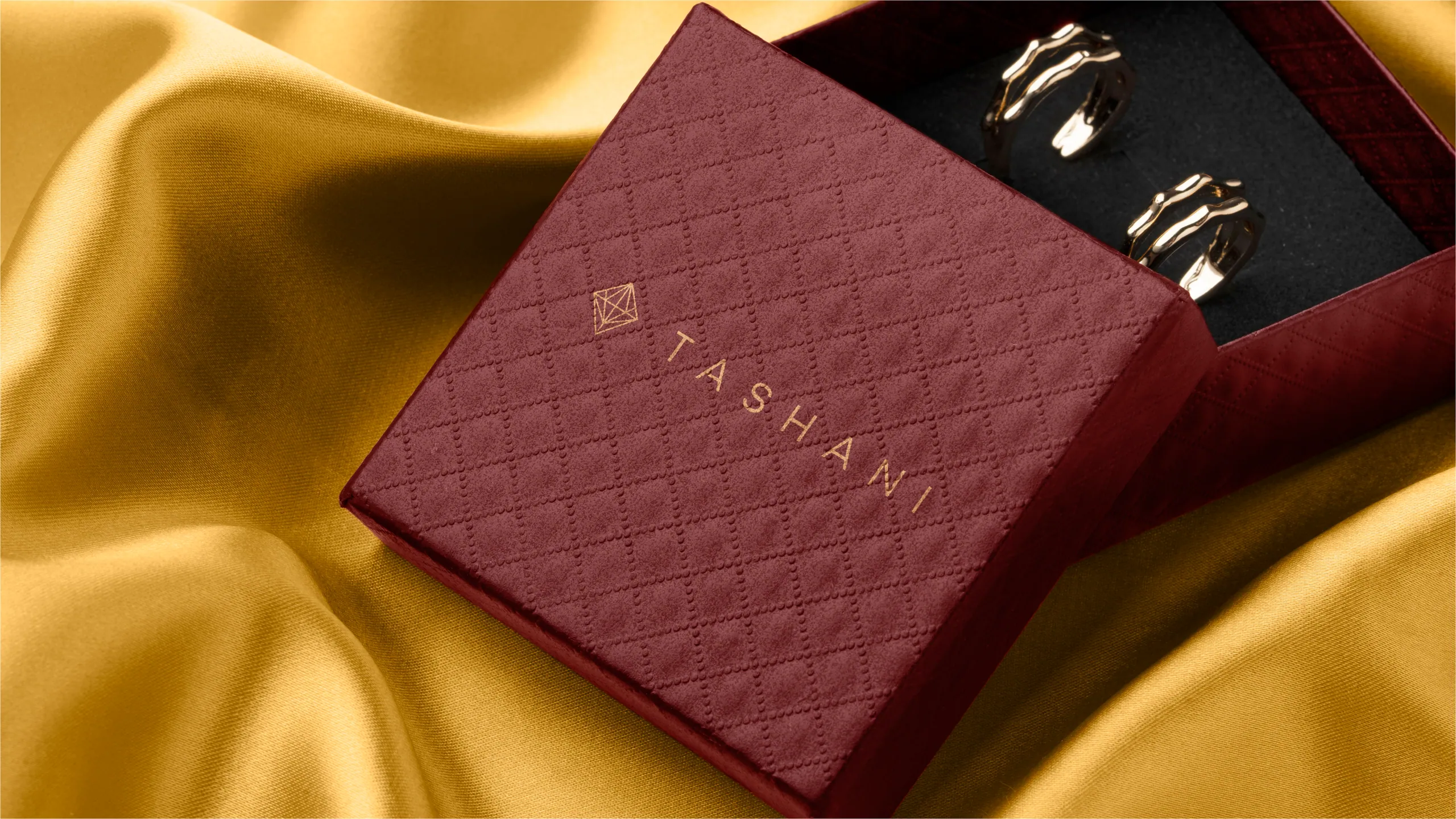 Tashani brand identity 1